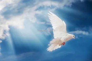  SKB-002 голуби, летящие в небе стрейч-пленки из ПВХ, похожие на облицовочную плитку для отделки потолка
