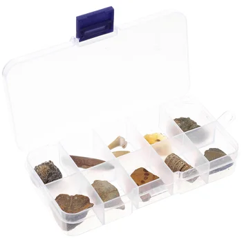  10 шт. биологических образцов окаменелостей, набор для раскопок драгоценных камней, украшения для студенческого стола